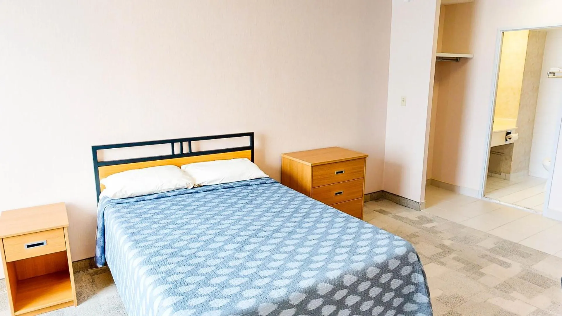 Апартаменты Chestnut Residence And Conference Centre - University Of Торонто