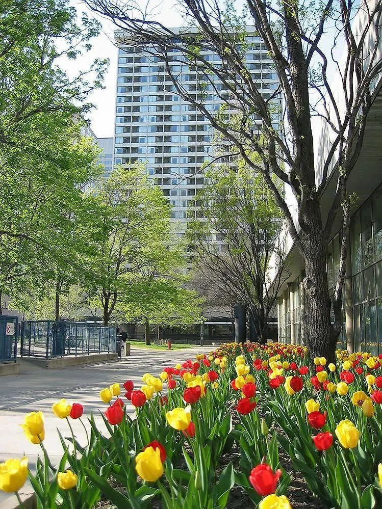 Chestnut Residence And Conference Centre - University Of Toronto Apartment